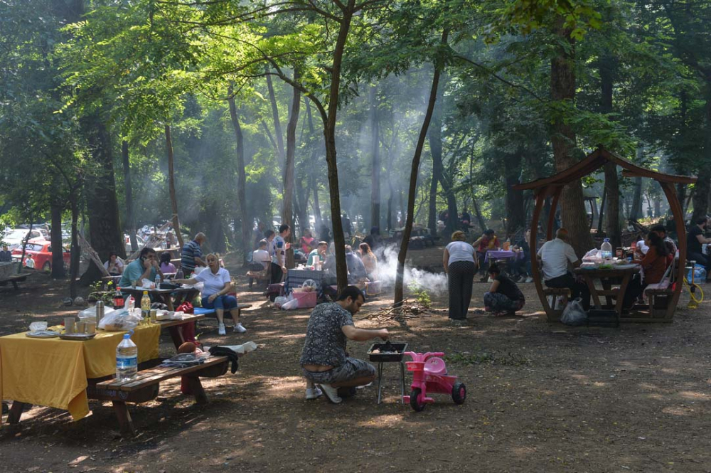 İstanbullular piknik yapmak için Belgrad Ormanına akın etti 8