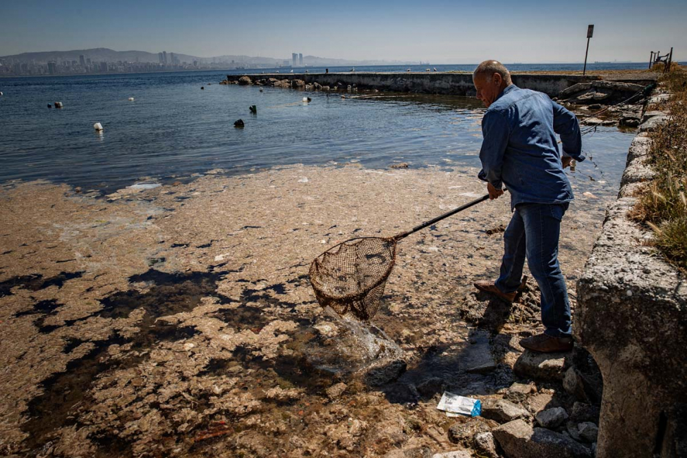 Marmara Denizi'ndeki tehlike devam ediyor: İstanbul, Kocaeli, Bursa, Tekirdağ... İşte deniz salyasının etkileri... 40