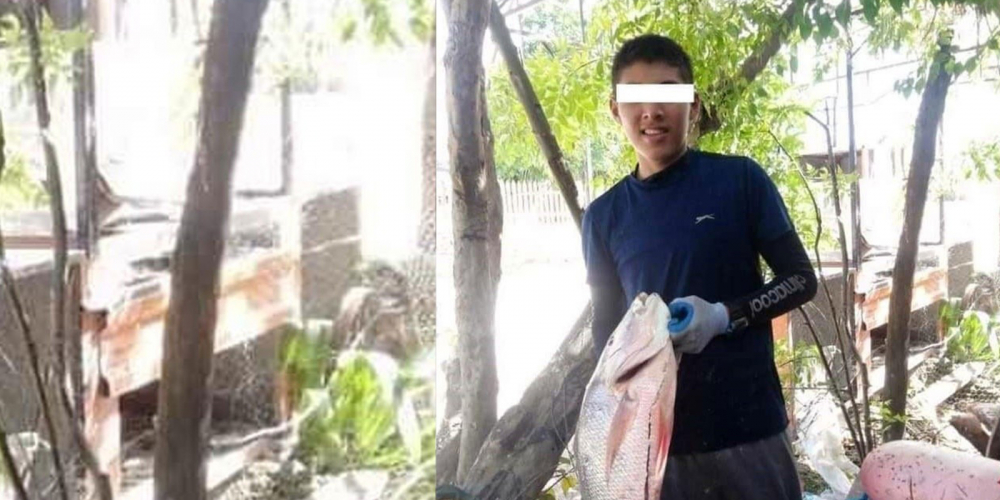 Sosyal medyanın konuştuğu olay! 14 yaşındaki çocuk köpek balığı  saldırısından bakın nasıl kurtuldu foto galerisi 1. resim