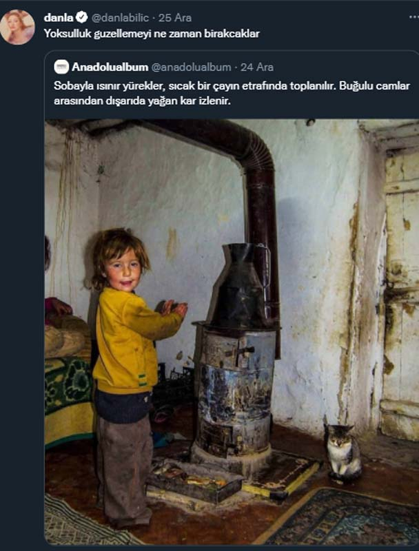 Danla Bilic'in sokak hayvanları için yaptığı paylaşım tepki gördü! "Ortalığı birbirine katan sanal dostlarım" 2