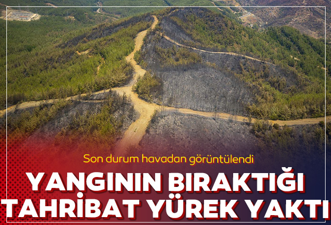 Muğla Marmaris'teki orman yangını tahribat bıraktı! Yeşil alanlar küle döndü, doğal yaşam zarar gördü!