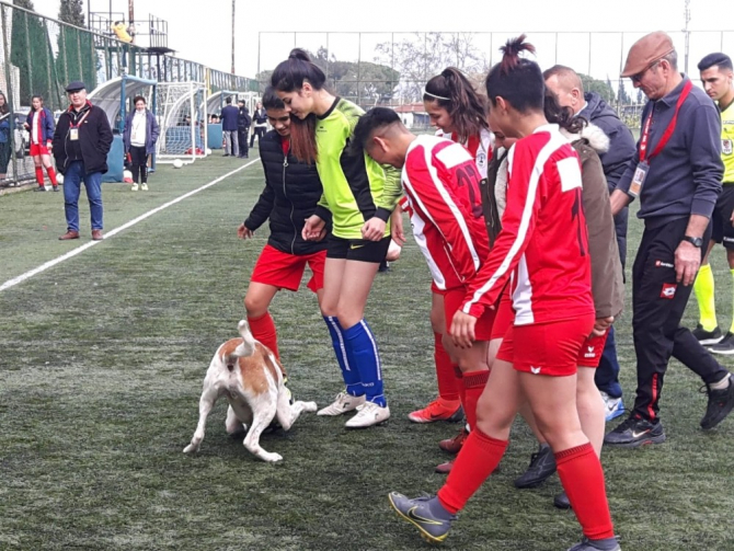 Kadınlar futbol maçında davetsiz misafir ile ilgili görsel sonucu