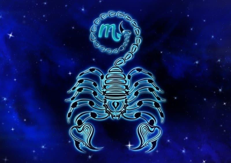 Daily Horoscope Comments Saturday, June 4, 2022 |  The lion eats friendly bets, fish like himself!