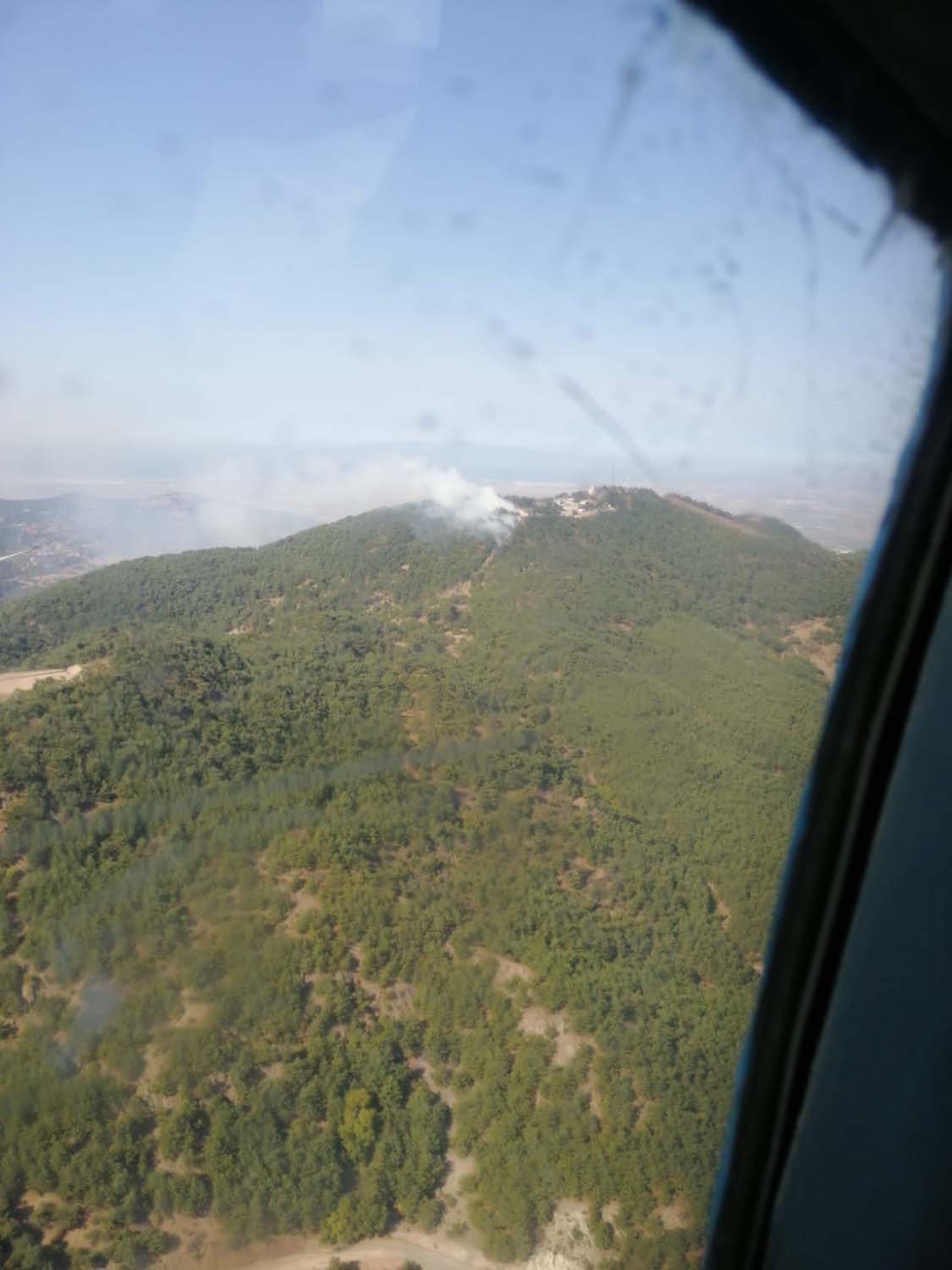 SON DAKİKA! İzmir'de orman yangını, ekipler bölgede!