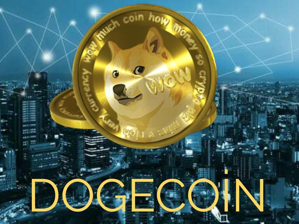 dog coins vs bitcoins to dollars