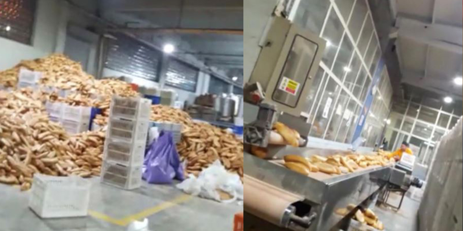 Yazık sizin belediyeciliğinize! Ankara Büyükşehir Belediyesi Halk Ekmek Fabrikası'nda skandal görüntü
