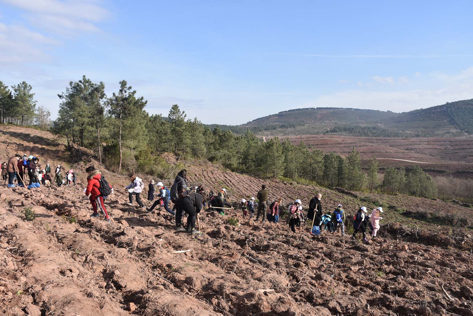 Türkiye-Kore Dostluk Ormanı’nda 50 binden fazla fidan dikildi