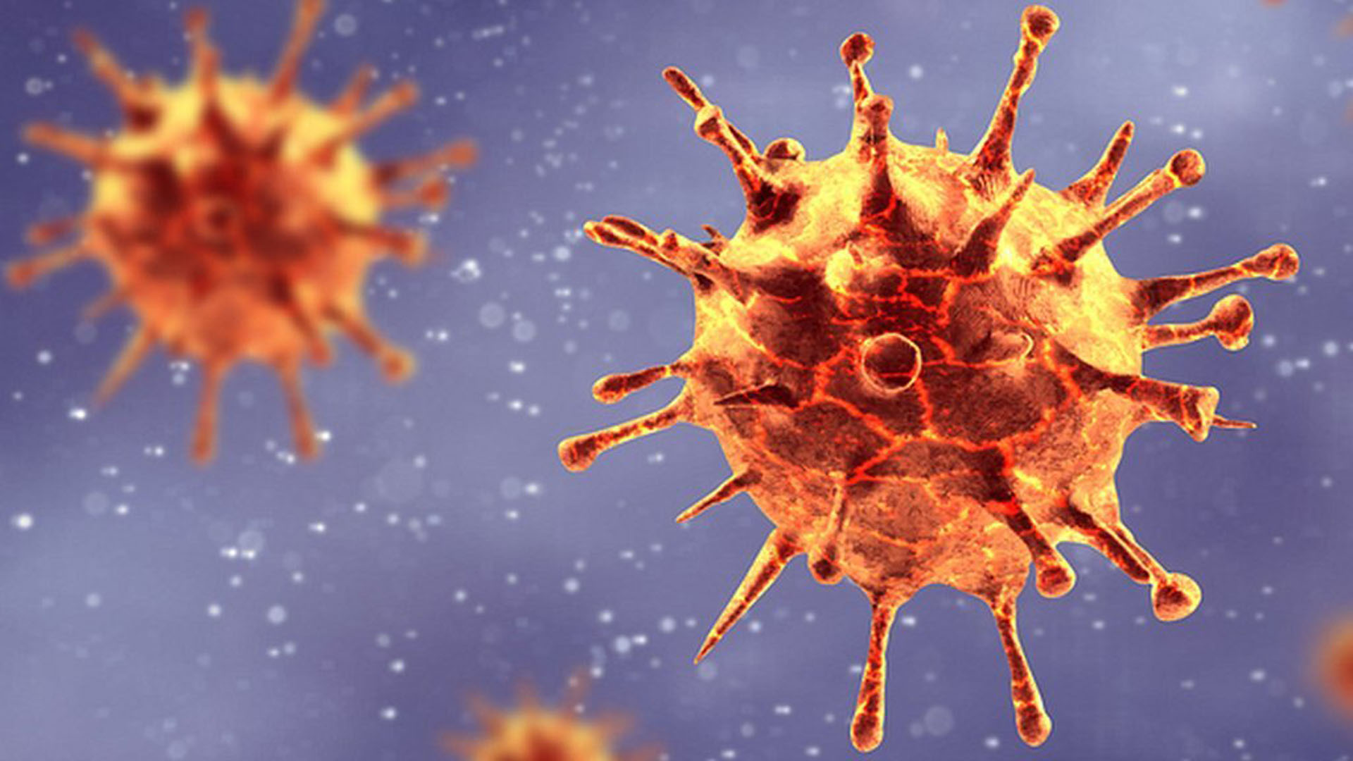 Yeniden salgının en başına mı dönüyoruz? Dünya Sağlık Örgütü'nden yeni koronavirüs NeoCov ile ilgili açıklama!