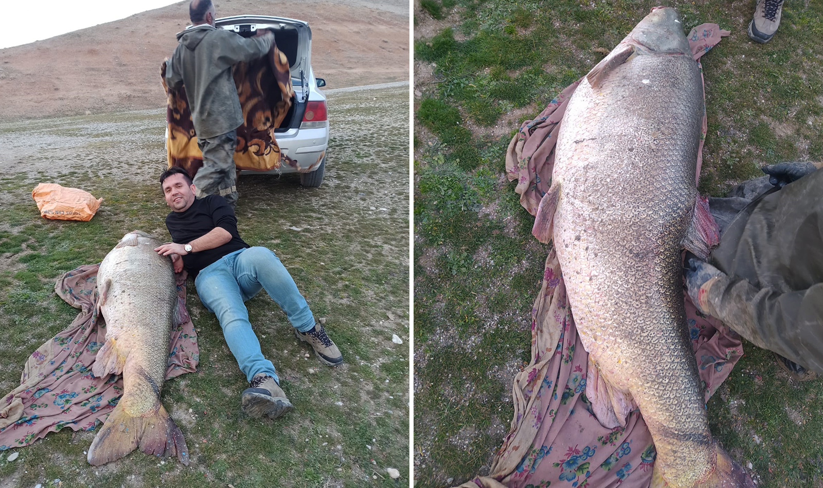 Avladığı balığı görünce gözlerine inanamadı! 88 kilo ağırlığında 180 santimetre boyunda! 