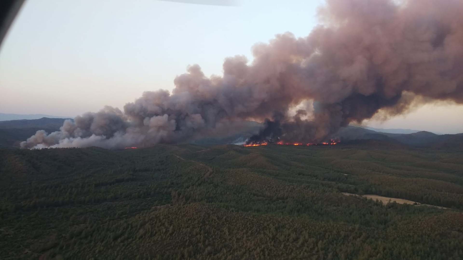 Muğla Marmaris'te orman yangını! Bakan Soylu ve Bakan Kirişçi son durumu açıkladı! Bir kimlik tespit edildi