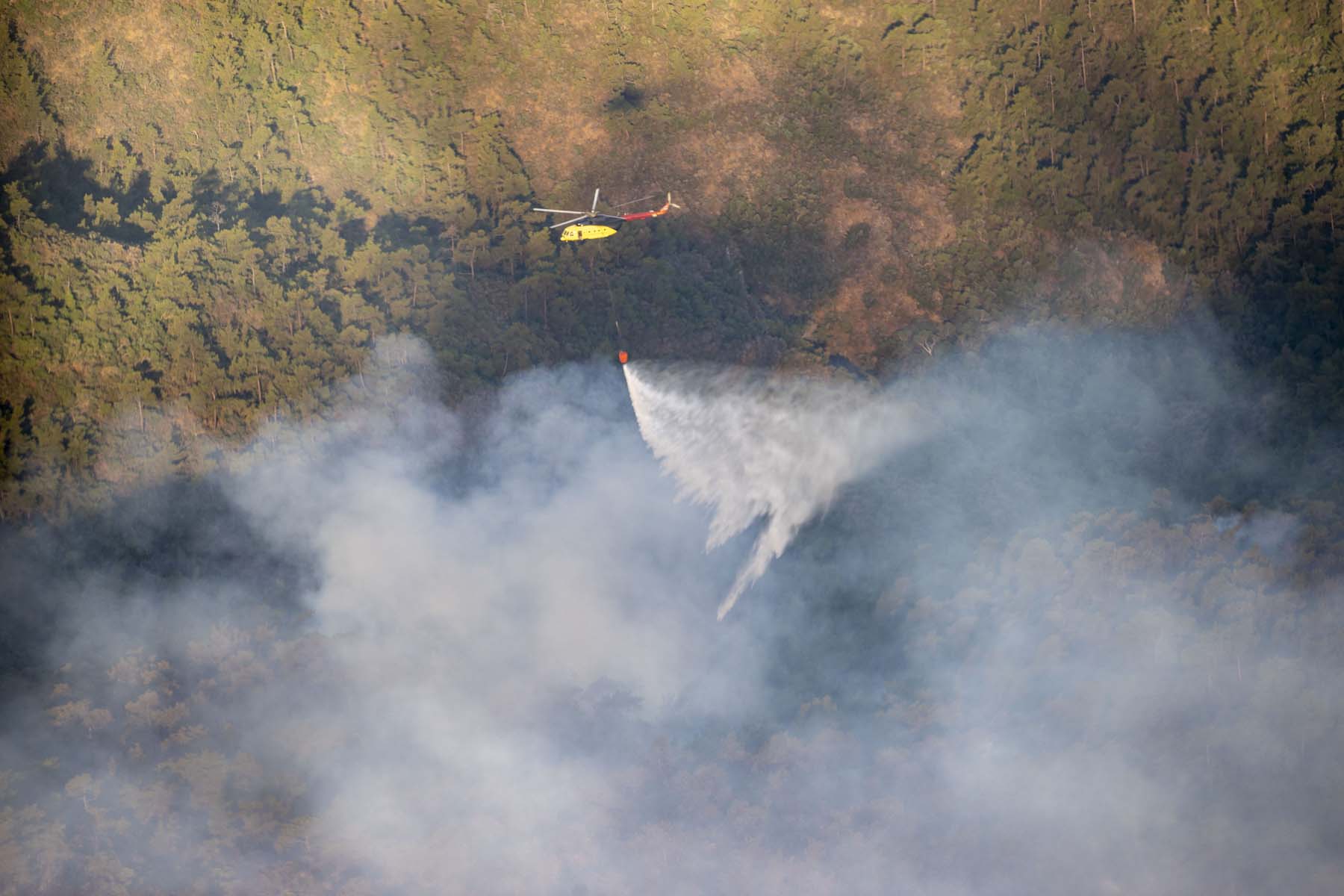 Muğla Marmaris'te orman yangını! Bakan Soylu ve Bakan Kirişçi son durumu açıkladı! Bir kimlik tespit edildi