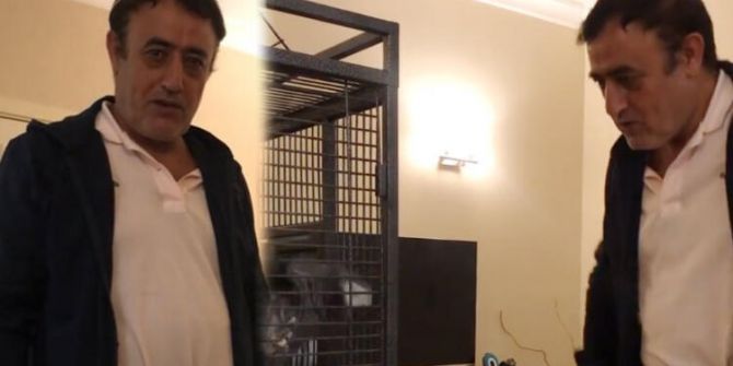 Mahmut Tuncer papağanıyla halay çekti! İzleyenler güle krizine girdi
